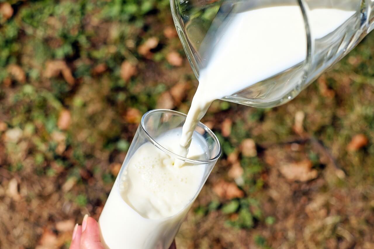 Calcium en magnesium in melk